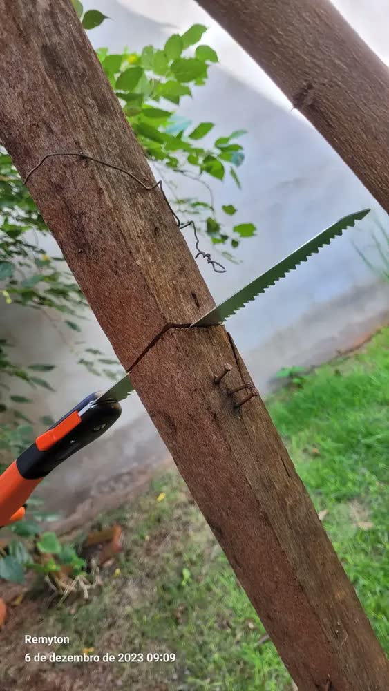 foto de Serrote De Poda Dobrável Tramontina Aço Profissional 8