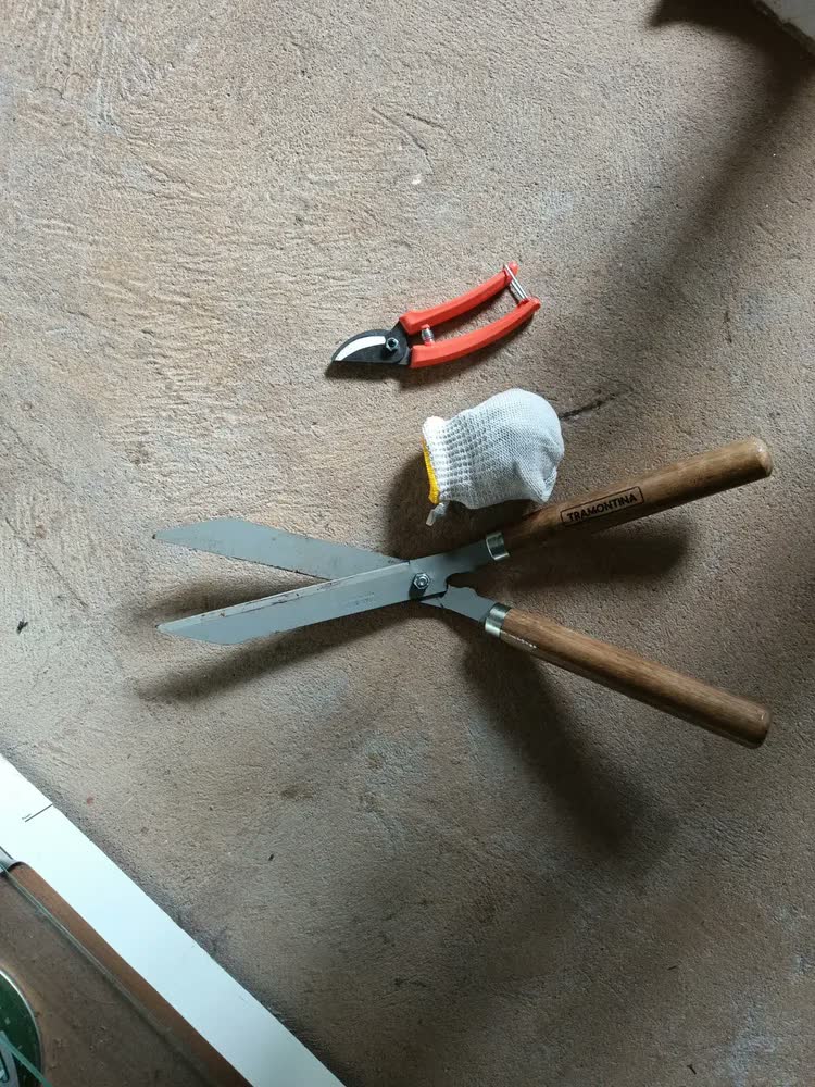 foto de Tesoura Para Cerca Viva + Tesoura Poda Tramontina + Luva Cor Cromado