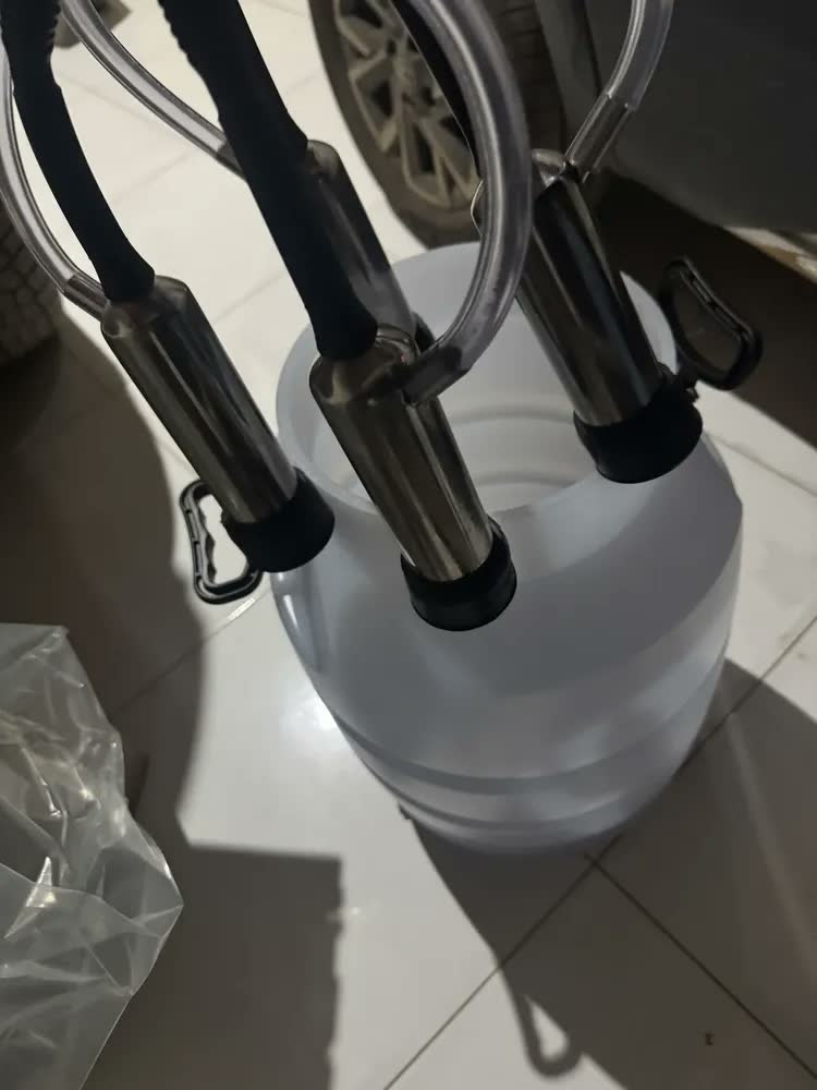 Ordenhadeira Inox Bv450, Motor 2cv,2 Conjuntos+lavador