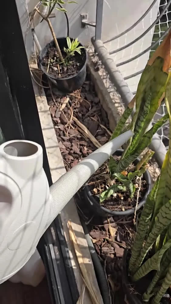 foto de Regador Plástico Sanremo Bico Fino 2 Litros para Plantas e Jardim Irrigação Casa Fácil de Usar Design Funcional e Leve
