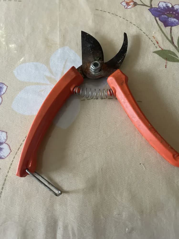 foto de Tesoura Tramontina De Poda 78300/001 Cor Laranja e Cinza
