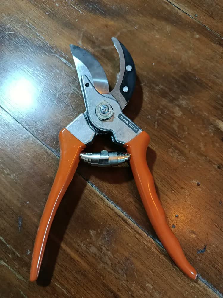 foto de Tesoura Para Podar Profissional Tramontina Cor Laranja