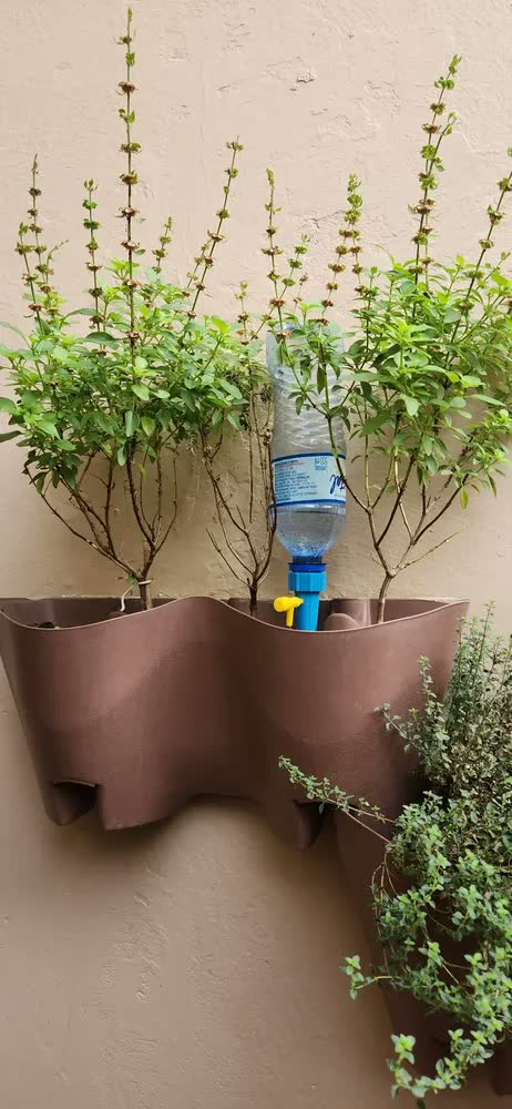 foto de Kit 12 Gotejadores Murdok Irrigador para Garrafa PET Plantas Jardim