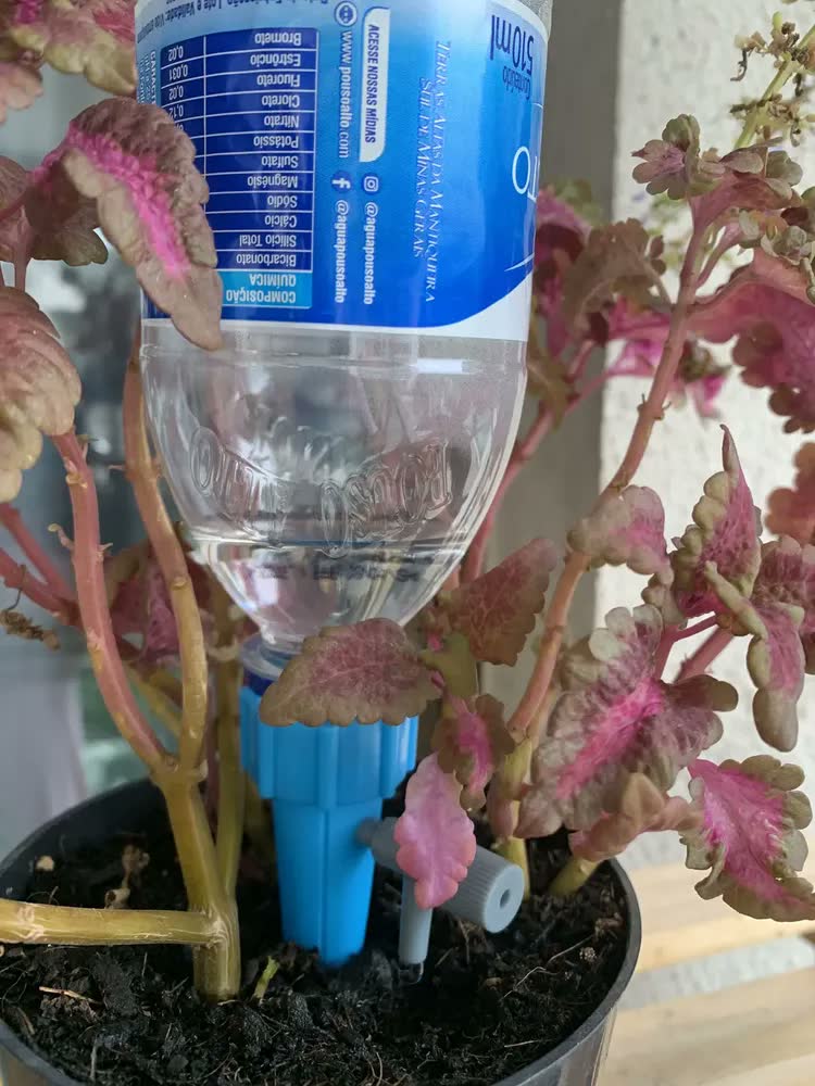 foto de Kit 12 Gotejadores Murdok Irrigador para Garrafa PET Plantas Jardim
