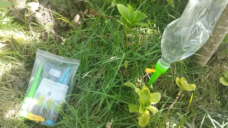 foto de Kit 12 Gotejadores Murdok Irrigador para Garrafa PET Plantas Jardim