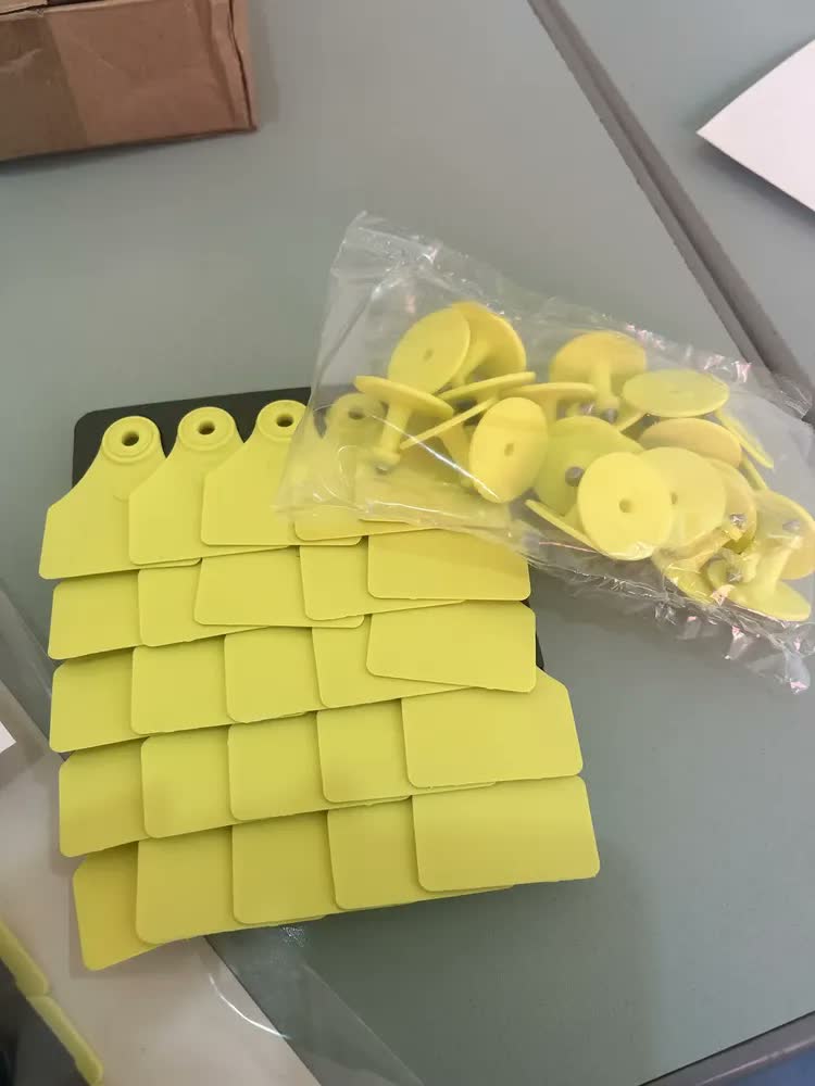 foto de 50 Brincos Médios (4,2x5,0 cm) Lisos para Bezerros suínos ovinos