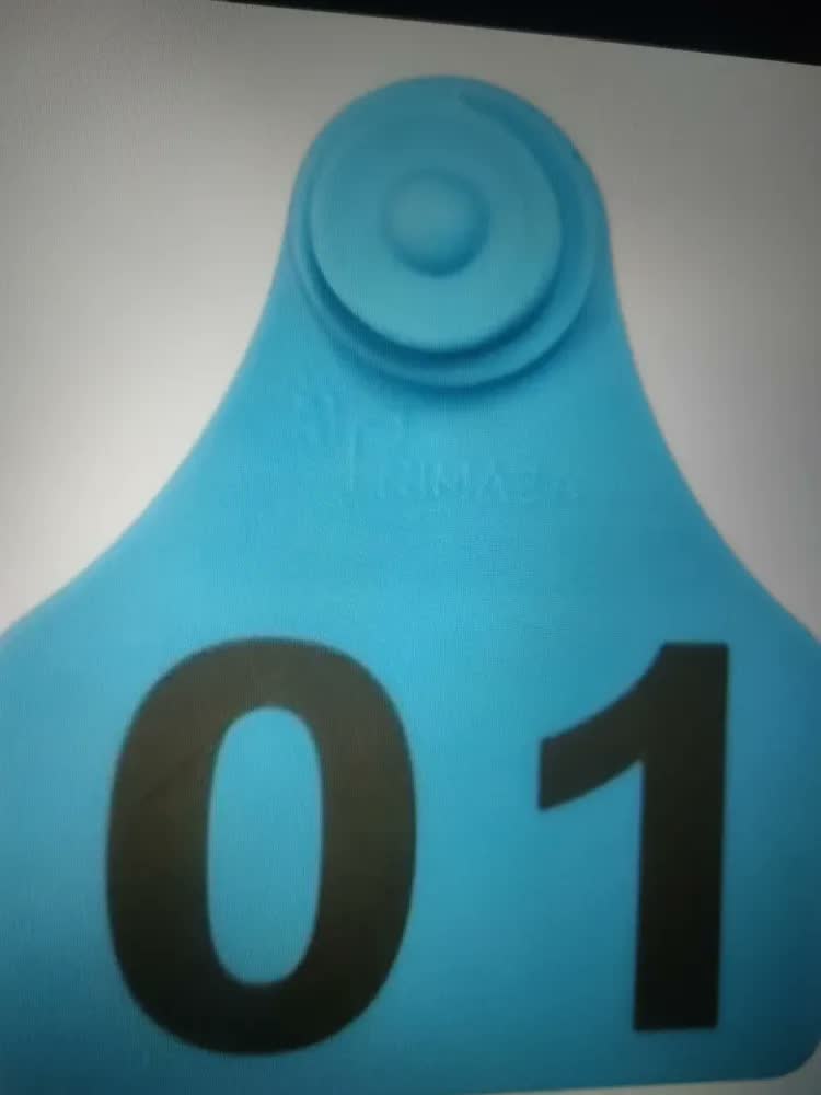 foto de 50 Brincos Médio(4,2x5,0 cm) para Bezerro Suíno Ovinos Numerados 01 A 50