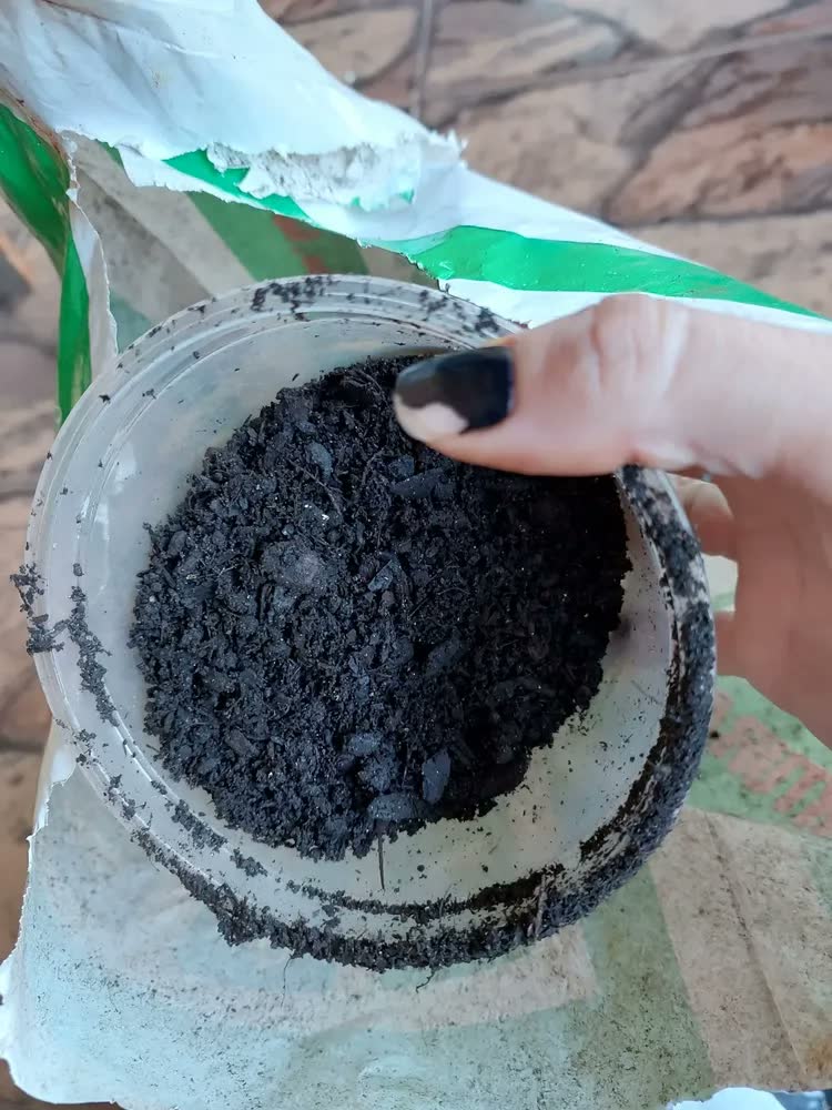 foto de Composto Para Jardim Calterra 3kg Substrato Premium Flores Folhagens