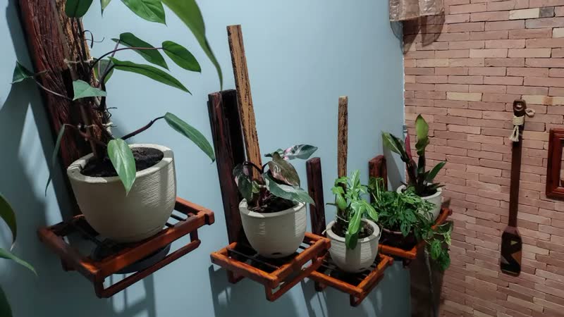 foto de Composto Para Jardim Calterra 3kg Substrato Premium Flores Folhagens