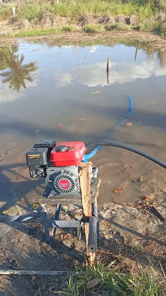 foto de Motobomba Gasolina Centrifuga B4t715s 1,5x1pol Branco