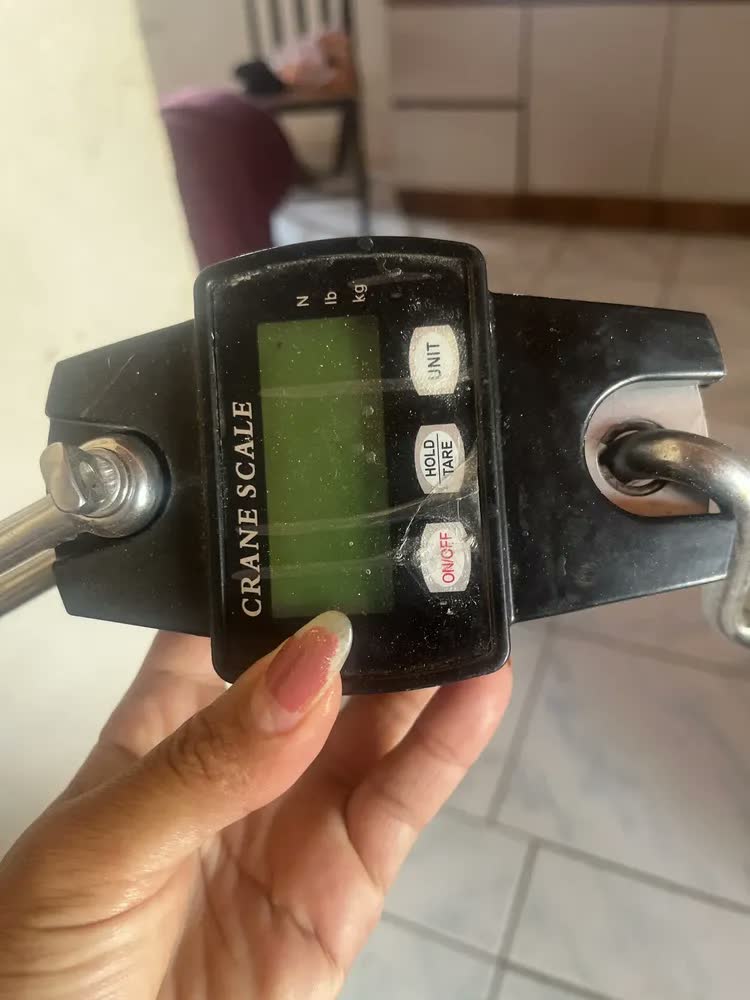foto de Balança Digital De Gancho Portátil Pesca Mercado 100kg 300kg