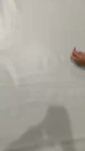 vídeo do produto