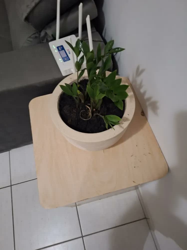 foto de Terra Vegetal Adubada Terra Brasil 8L 5kg Com Húmus Para Plantas