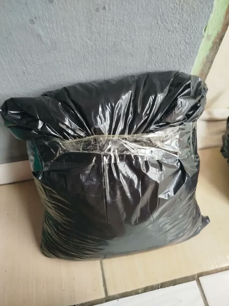 foto de Terra Vegetal Adubada Terra Brasil 8L 5kg Com Húmus Para Plantas