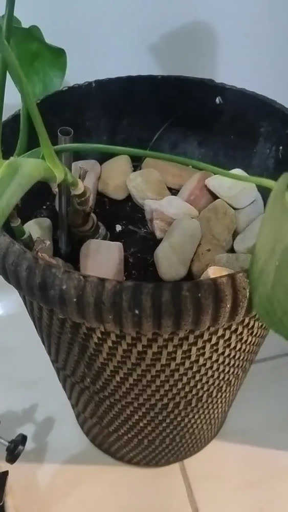 foto de Terra Vegetal Adubada Terra Brasil 8L 5kg Com Húmus Para Plantas