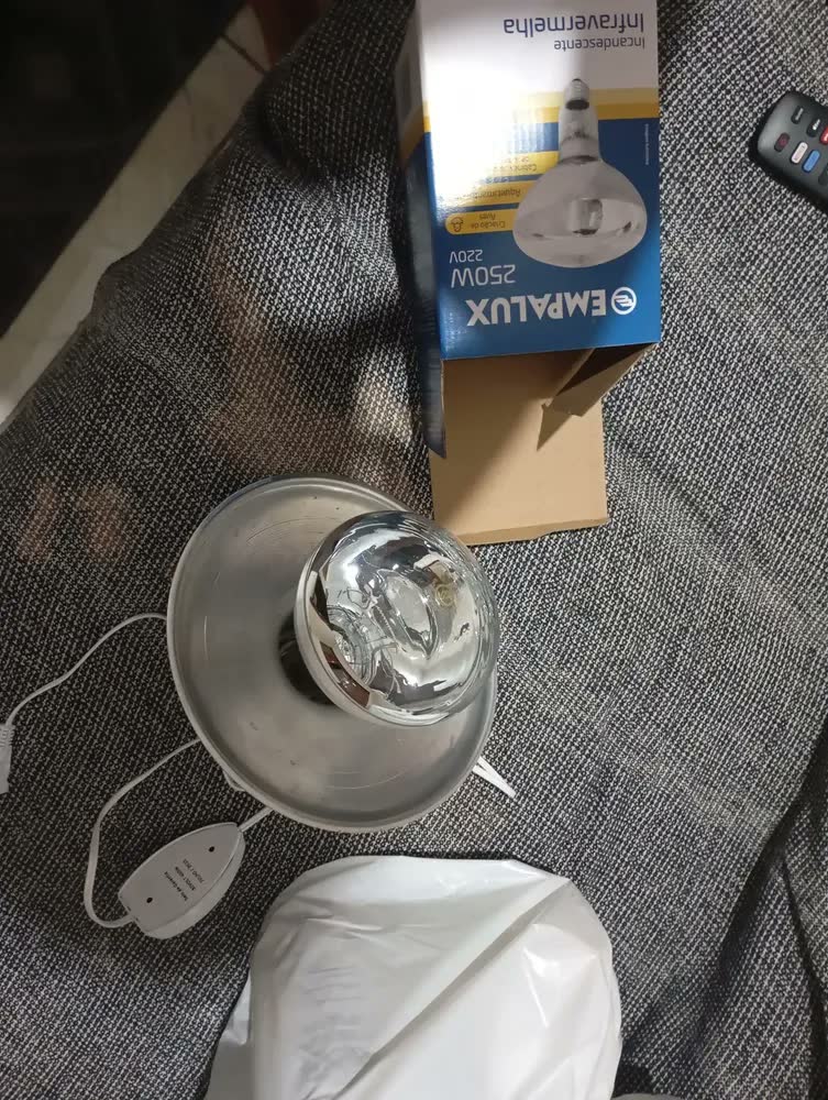 foto de Lampada Aquecimento Campanula C/ Ajuste Potência Dimmer 250