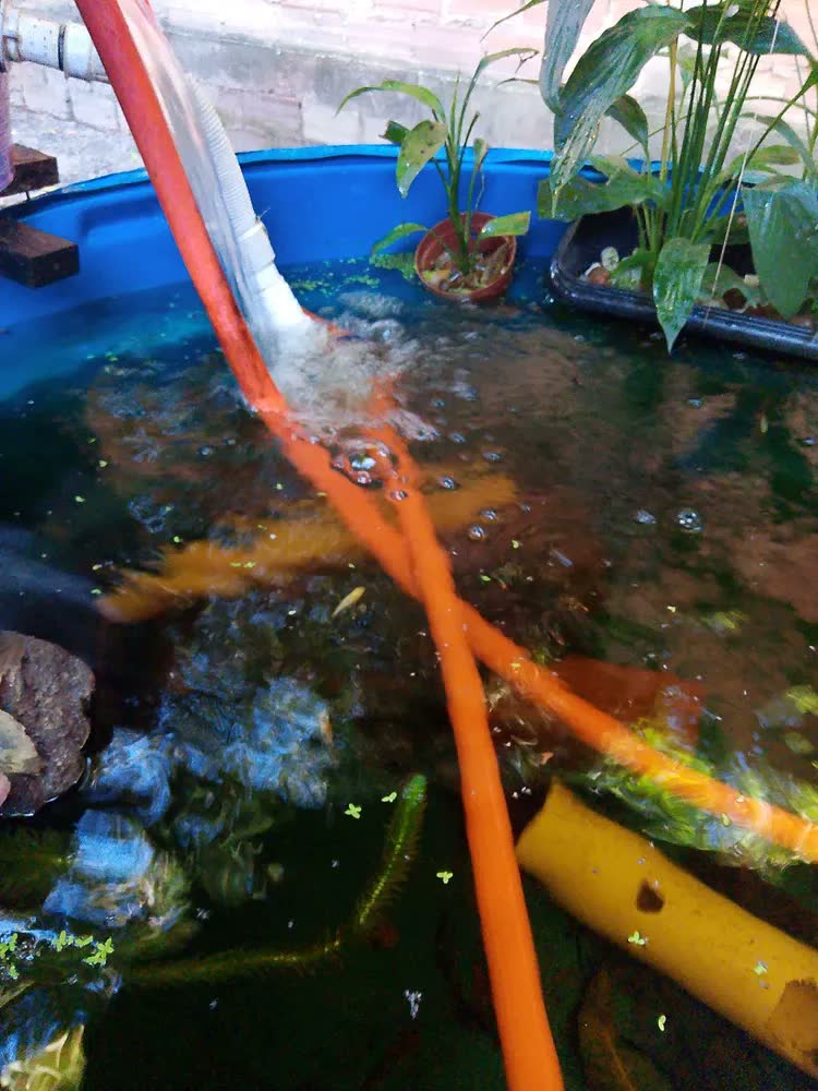 foto de Melhor Bombasss Bombinha Submersa Motor Para Aquário Água Doce Marinho Reef Lago Ornamental Pequeno Criação Peixes Cascata Fonte Hidroponia Aquaponia Recalque Sump Circulação Oxigenação 2000 Lh