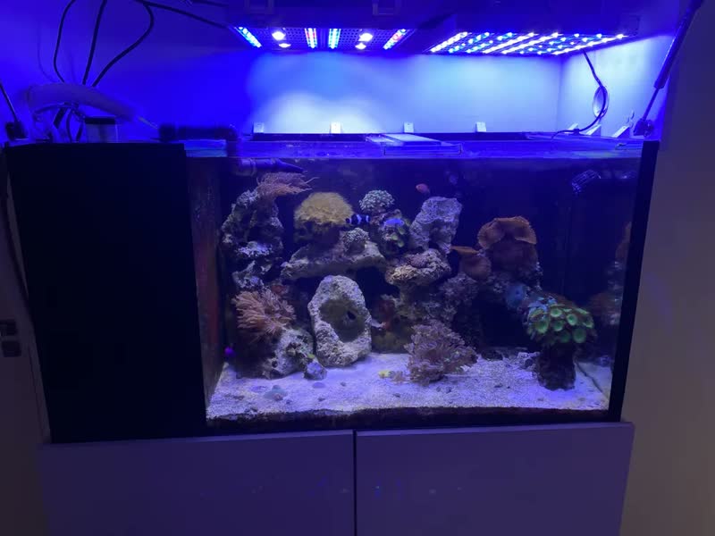 foto de Melhor Bombasss Bombinha Submersa Motor Para Aquário Água Doce Marinho Reef Lago Ornamental Pequeno Criação Peixes Cascata Fonte Hidroponia Aquaponia Recalque Sump Circulação Oxigenação 2000 Lh