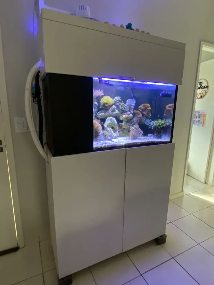 foto de Melhor Bombasss Bombinha Submersa Motor Para Aquário Água Doce Marinho Reef Lago Ornamental Pequeno Criação Peixes Cascata Fonte Hidroponia Aquaponia Recalque Sump Circulação Oxigenação 2000 Lh