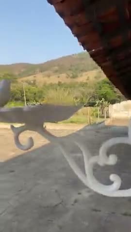 vídeo do produto