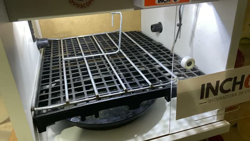 foto de Incubadora De Ovos Galinhas Aves + Ovoscopio Automatica
