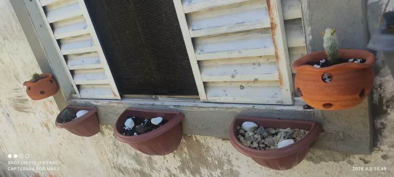 foto de Terra Vegetal Nutriplan Saco 2 Kg Para Plantas E Gramados