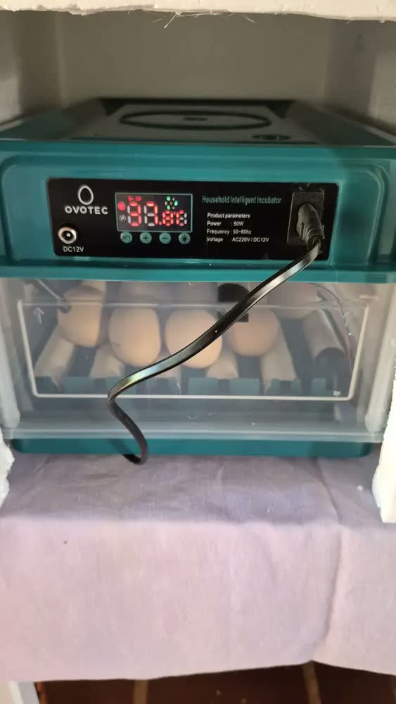 foto de Chocadeira Automática Até 30 Ovos + Ovoscópio - Incubadora