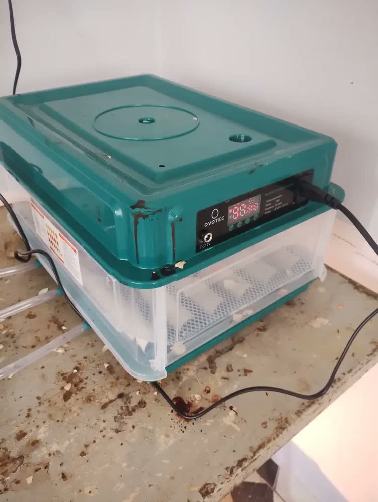 foto de Chocadeira Automática Até 30 Ovos + Ovoscópio - Incubadora