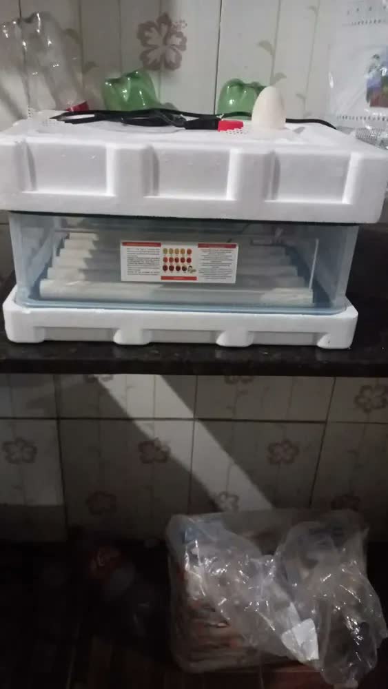 foto de Chocadeira Automática Até 30 Ovos + Ovoscópio - Incubadora