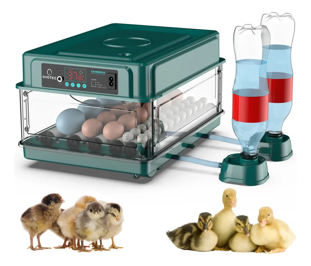 Chocadeira Automática Até 30 Ovos + Ovoscópio - Incubadora