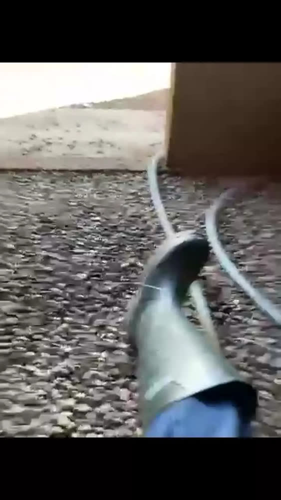 foto de Bota Ecoboots Pu Cano Longo Verde Solado Preto Bracol
