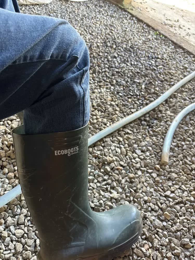 foto de Bota Ecoboots Pu Cano Longo Verde Solado Preto Bracol