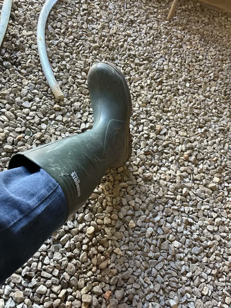 foto de Bota Ecoboots Pu Cano Longo Verde Solado Preto Bracol