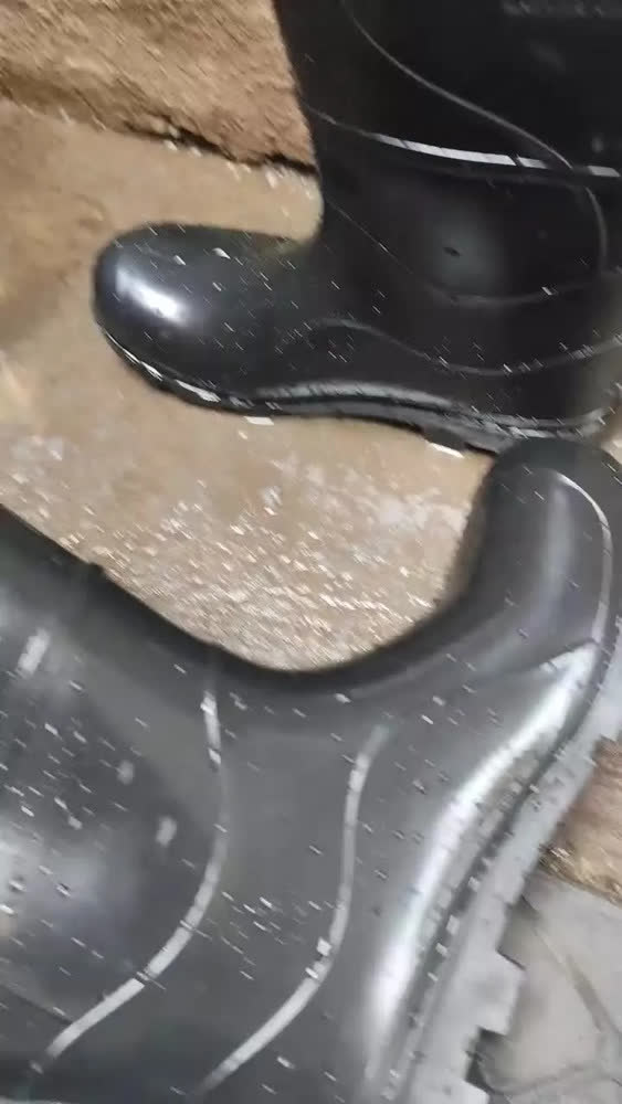 Bota Borracha Galocha Cano Medio Pvc Antiderrapante Motoboy