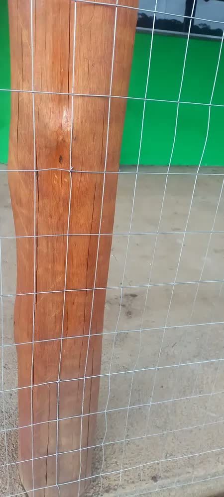 foto de Tela Soldada Tag 25m Arame 1,60mm 1,50m Malha 5x10cm Aço Galvanizado