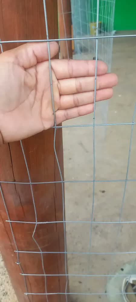 foto de Tela Soldada Tag 25m Arame 1,60mm 1,50m Malha 5x10cm Aço Galvanizado