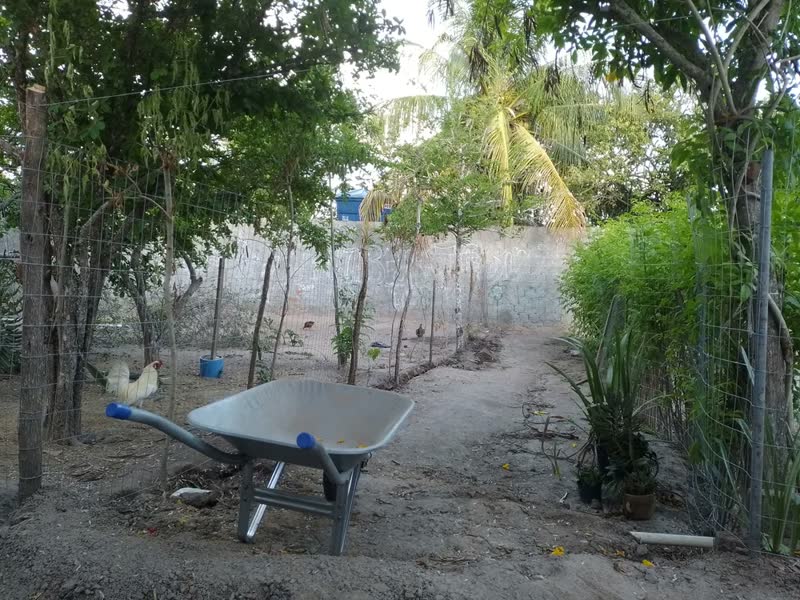 foto de Tela Soldada Tag 25m Arame 1,60mm 1,50m Malha 5x10cm Aço Galvanizado