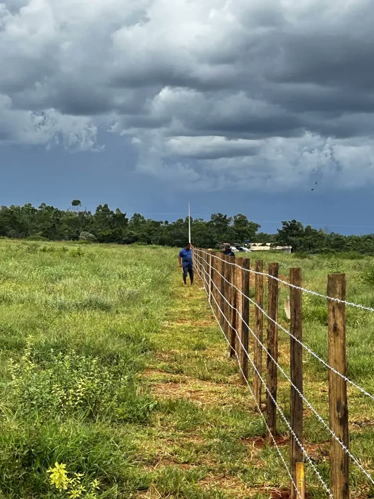 foto de Arame Farpado Para Cerca Nelore 100m Morlan
