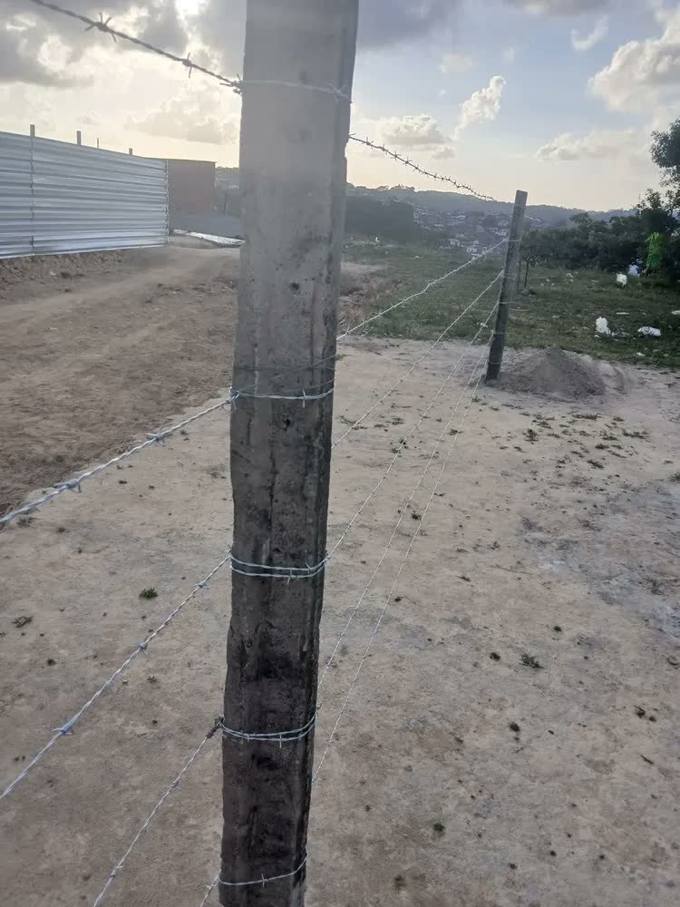 foto de Arame Farpado Para Cerca Nelore 100m Morlan