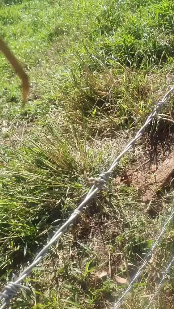 foto de Arame Farpado Elefante 400 Metros Gerdau