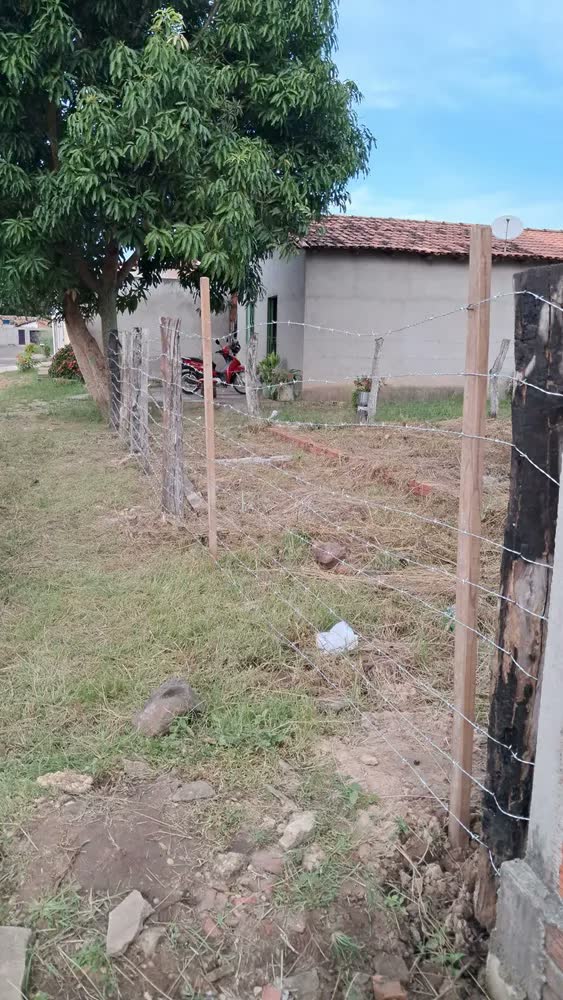 foto de Arame Farpado 100% Galvanizado 100m Nelore