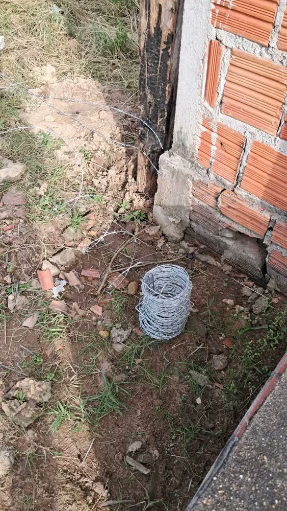 foto de Arame Farpado 100% Galvanizado 100m Nelore