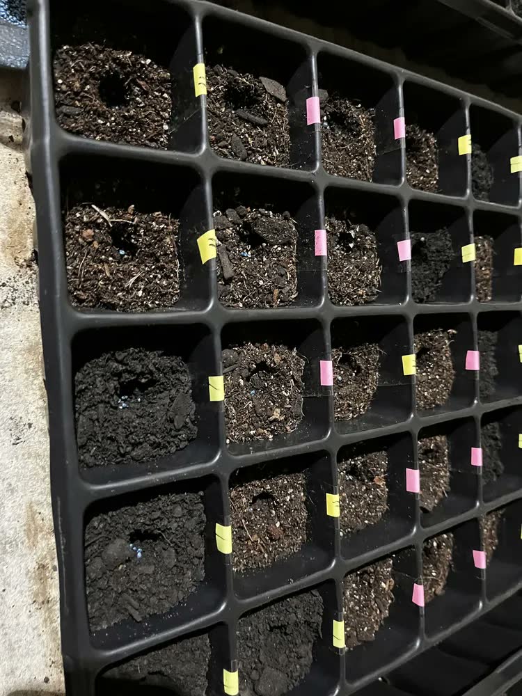 foto de Fertilizante Orgânico Húmus De Minhoca (5kg) Vitaplan