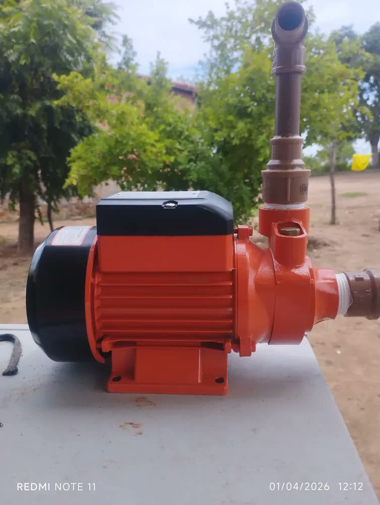 foto de Bomba D'água Periférica Mono 0,5hp Bdxwpsfqb60 Black&decker Cor Laranja Fase Elétrica Monofásica