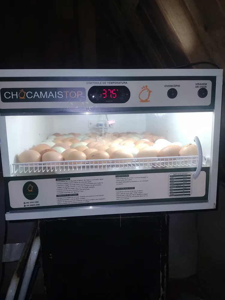 foto de Chocadeira Chocamaistop Chm 120 Branca 170w 120 Ovos