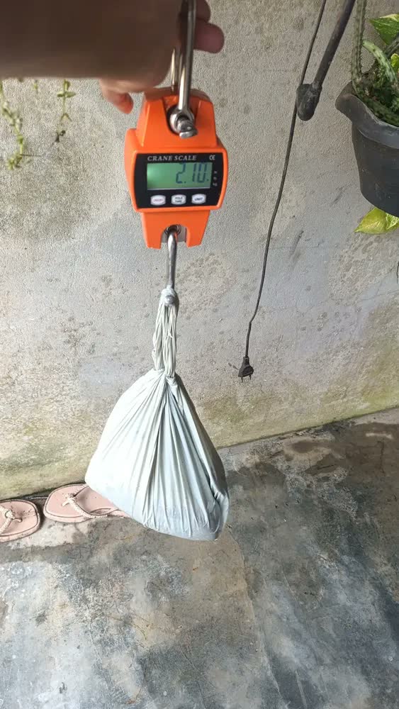 foto de Balança Digital De Gancho Portátil Pesca 100kg 300kg Cor Laranja