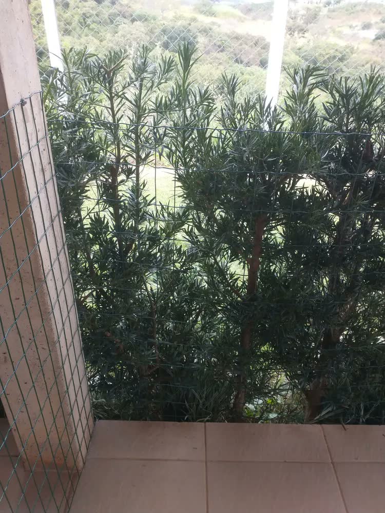 foto de Tela Alambrado Verde 1,2m x 25m PVC Aço Galvanizado Fronteira