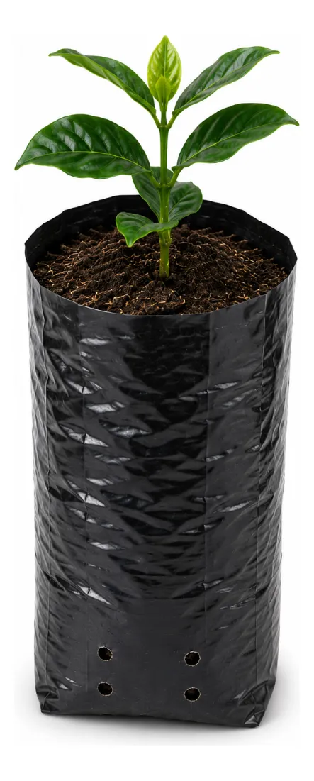 Sacos Para Mudas Café Viveiro 15x25 60 Micras 5000un Nuplast