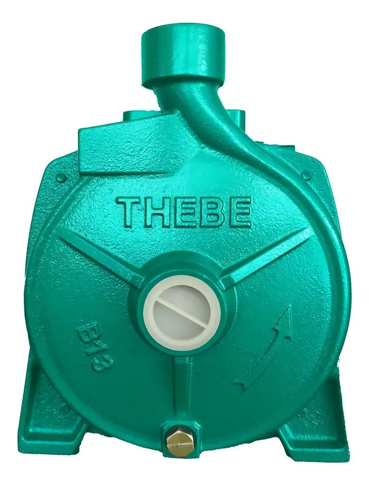 foto de Ebara Bomba Solar B-13 950W Thebe IP44 114V