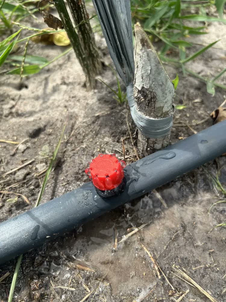 foto de Kit Completo 100 Micro Gotejadores Reguláveis 4mm para Irrigação - Controle Individual de Vazão, Instalação Fácil sem Ferramentas, Ideal para Hortas, Jardins e Vasos - Economize até 70% de Água